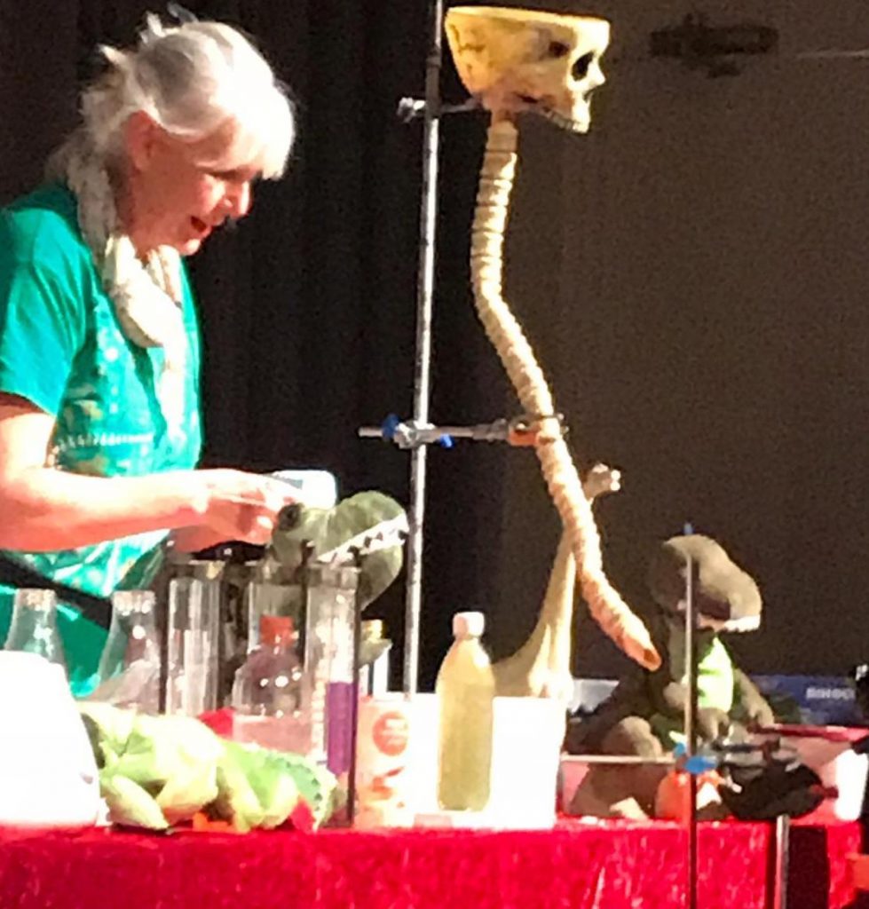 Dino digestion - Science2Life