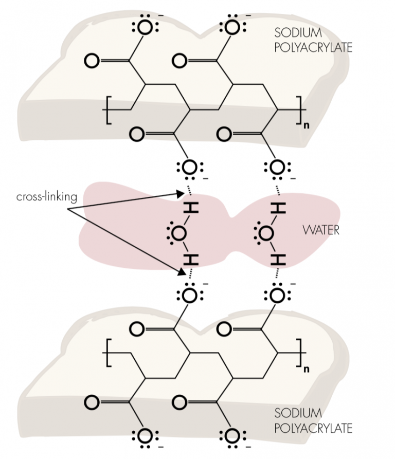 sodium polyacrylate bonding with water - Science2Life
