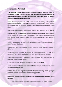 Red Cabbage Information