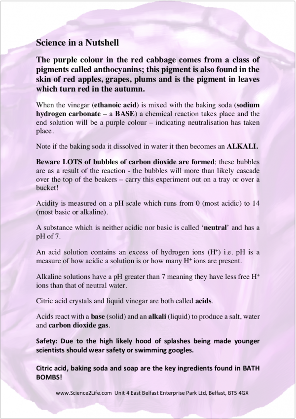 Red Cabbage Information