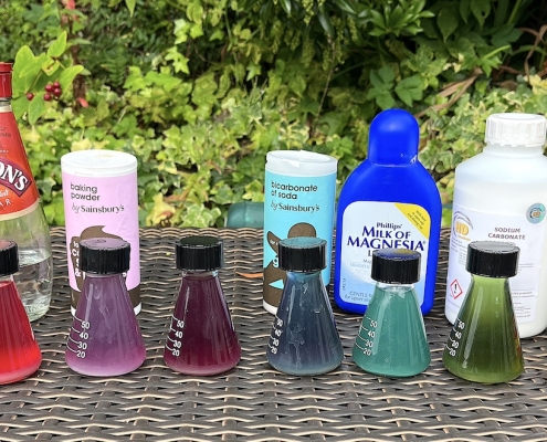 A row of small flasks filled with red cabbage indicator showing a range of colours from red to green, placed in front of household chemicals like vinegar, baking powder, and caustic soda.