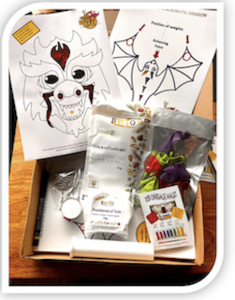 Contents of the Science of Dragons activity kit, including experiment materials, instruction packs, and dragon-themed artwork.